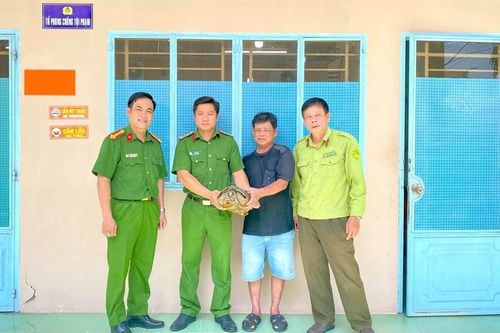 Người dân An Giang tự nguyện giao nộp rùa đất lớn và Rồng Nam Mỹ