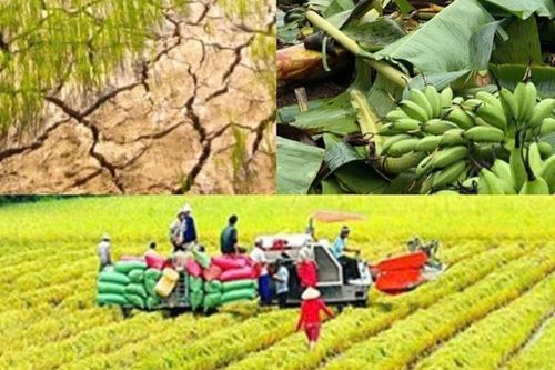 Chính sách mới có hiệu lực từ tháng 10/2026