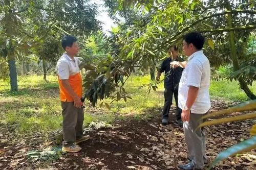 Tái sử dụng tầng đất mặt