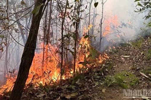 Cấp bằng 'Tổ quốc ghi công' cho 2 công dân xã Na Sang (tỉnh Điện Biên) hy sinh khi chữa cháy rừng