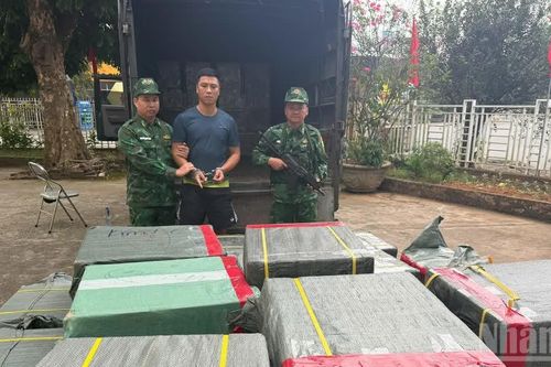 Lào Cai triệt phá vụ vận chuyển 21.000 bao thuốc lá nhập lậu