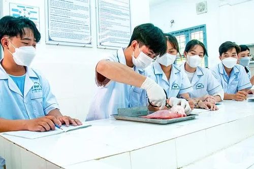 Đào tạo và phát triển nguồn nhân lực cao vùng Đồng bằng sông Cửu Long