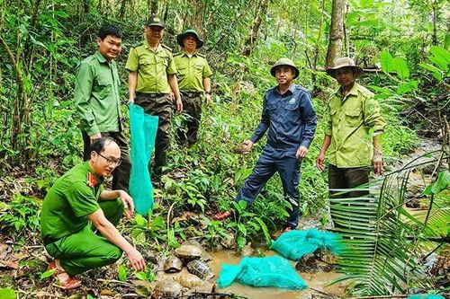 Lan tỏa thông điệp bảo tồn đa dạng sinh học từ việc tái thả 31 cá thể động vật rừng nguy cấp về tự nhiên