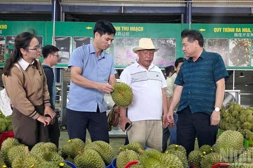 Lâm Đồng: Chia sẻ thực tiễn về quản lý vùng trồng hướng đến mở rộng thị trường xuất khẩu nông sản