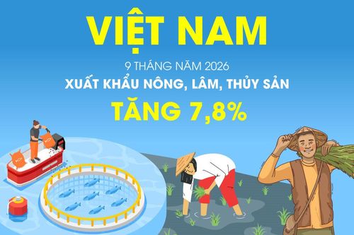 Xuất khẩu nông, lâm, thủy sản tăng 7,8% trong 9 tháng năm 2026