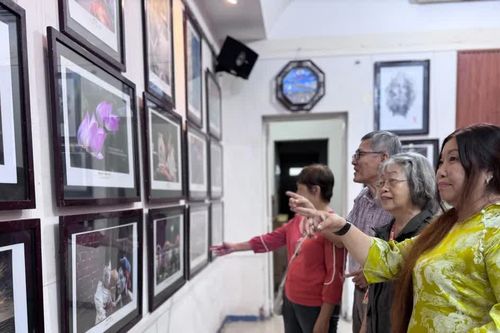 'Khoảnh khắc và cuộc sống' qua ống kính người cao tuổi