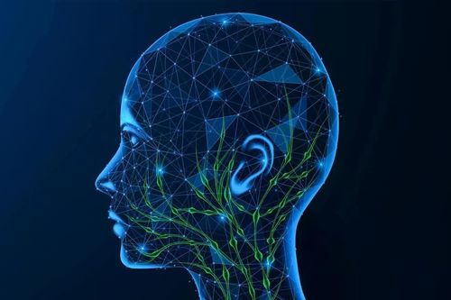 Một phần tổn thương Alzheimer có thể bắt đầu từ bên ngoài não