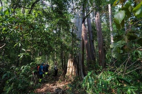 Tour đưa khách theo chân kiểm lâm tuần tra Vườn quốc gia Cát Tiên được đề cử giải du lịch thế giới