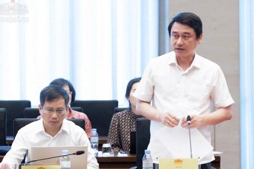 Ủy ban Quốc phòng, An ninh và Đối ngoại Quốc hội tổ chức Phiên họp toàn thể, thẩm tra dự án Luật Thỏa thuận quốc tế (sửa đổi)