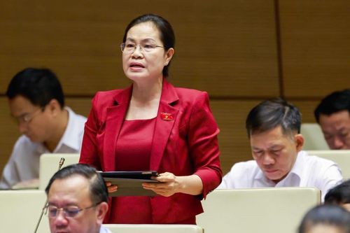 Giám đốc Sở Tư pháp TP.HCM: Phải tạo điều kiện để luật sư công làm tốt 'hai vai'