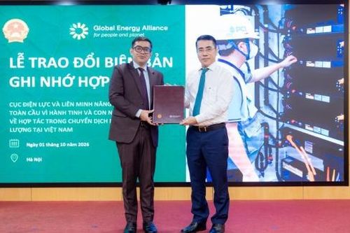 Cục Điện lực và Liên minh Năng lượng Toàn cầu thúc đẩy số hóa lưới điện và phát triển BESS