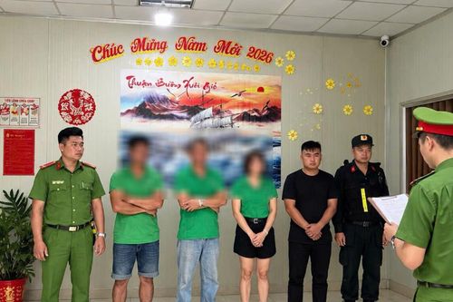Hơn 24.000 tấn phân bón giả xuất xứ Bỉ tuồn ra thị trường