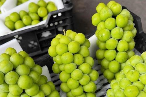 Quả nho rất tốt cho tim mạch nhưng 2 nhóm người cần hạn chế ăn