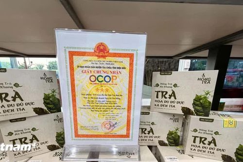 Nâng tầm OCOP, mở rộng dư địa phát triển kinh tế nông thôn Điện Biên