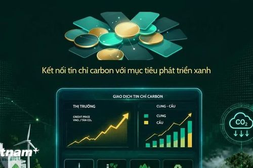 Thị trường carbon Việt Nam cần lực kéo để tạo thanh khoản