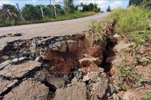 Lâm Đồng sớm xử lý sụt lún, gãy nền đường Tà Đùng - Quảng Sơn