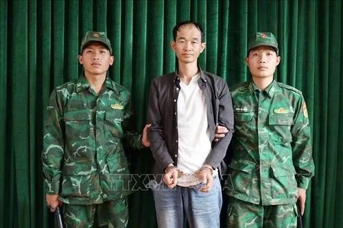 Bắt giữ đối tượng người nước ngoài nhập cảnh trái phép vào Việt Nam