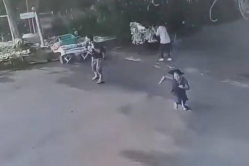 Cây xanh cao 30 mét đổ xuống đường, đè trúng nhiều người