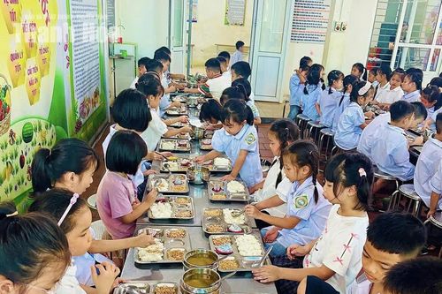 Xã Lưu Vệ bảo đảm an toàn thực phẩm trong các cơ sở giáo dục