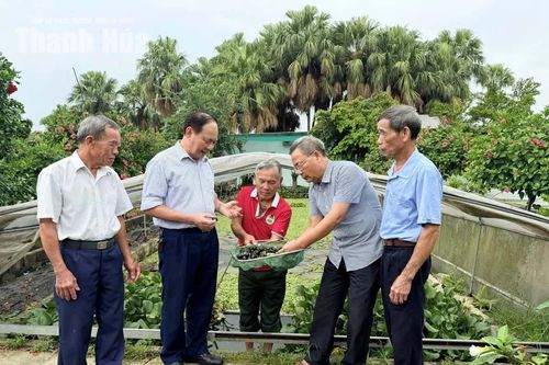 Chủ động chăm sóc, phát huy vai trò người cao tuổi trong xu hướng già hóa dân số