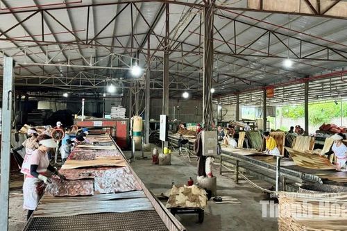 Giải pháp nào xử lý triệt để tình trạng chậm đóng, trốn đóng BHXH, BHYT?