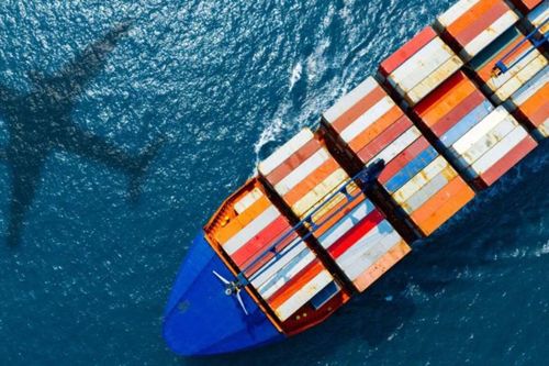 Vì sao thương mại toàn cầu vẫn đứng vững giữa loạt cú sốc lớn?