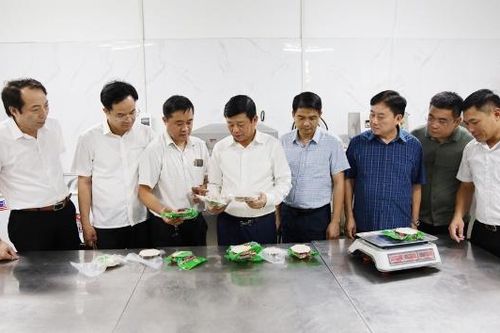 Phó Chủ tịch UBND thành phố Ngô Tân Phượng kiểm tra tình hình phát triển kinh tế tập thể trên địa bàn