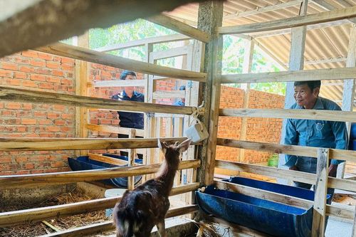 Hội Nông dân Đà Nẵng tổ chức tham quan, học tập mô hình nuôi hươu sao