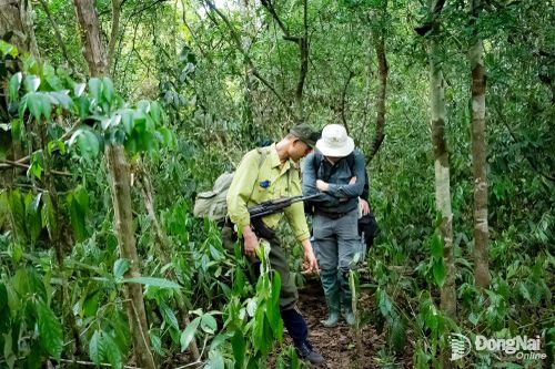 Sản phẩm du lịch ‘Katien Ranger Patrol’ tại Vườn quốc gia Cát Tiên vào vòng chung kết Giải thưởng Dự án Du lịch xuất sắc nhất thế giới