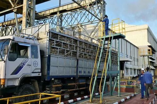 Từ vùng nguyên liệu mía đến chuỗi tuần hoàn