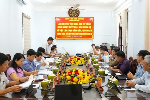 Hoài Nhơn định hướng phát triển vùng trồng dừa và cây dược liệu