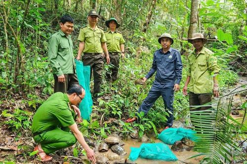 Thả 31 cá thể động vật quý, hiếm về môi trường tự nhiên