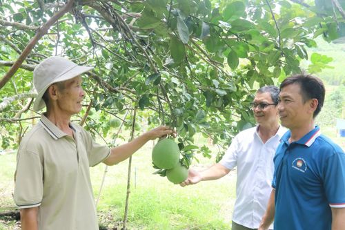 Kỷ niệm Ngày Quốc tế Người cao tuổi 1-10: ​​​​​​​Chung tay chăm sóc, phát huy vai trò người cao tuổi