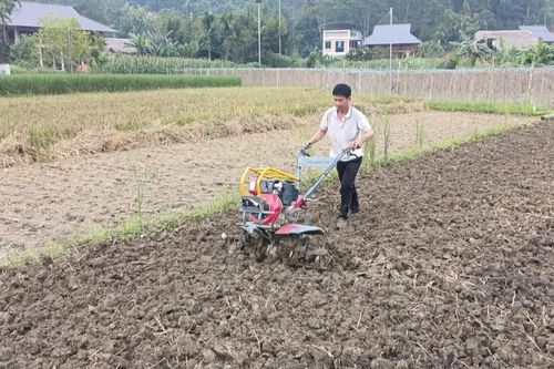 Lâm Thượng tăng tốc sản xuất vụ đông, bảo đảm khung thời vụ
