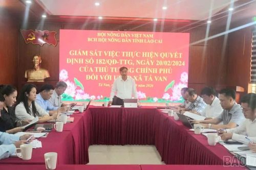 Hội Nông dân tỉnh giám sát việc thực hiện Quyết định số 182/QĐ-TTg tại xã Tả Van