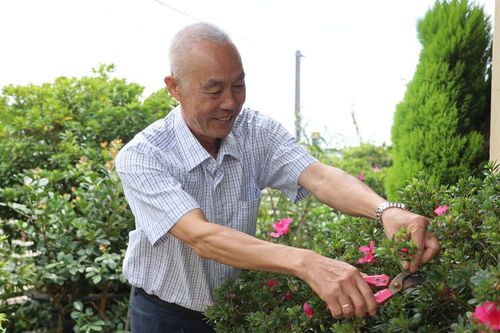 Lâm Đồng tăng cường các hoạt động hưởng ứng Festival Hoa Đà Lạt lần thứ XI