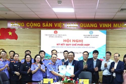 Lâm Đồng tăng cường công tác phối hợp phát hiện, xử lý vi phạm về bảo hiểm