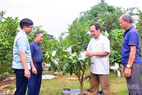 Đánh thức kinh tế bạc