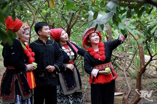 Chính sách tạo động lực phát triển du lịch
