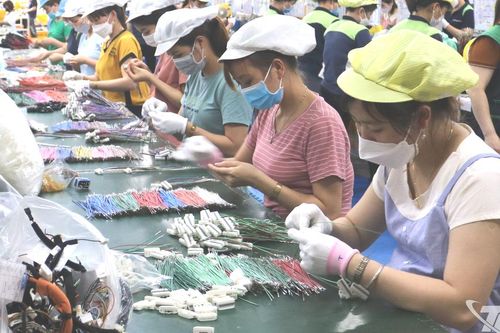 Xứ trà rộn ràng hướng đến ngày hội lớn