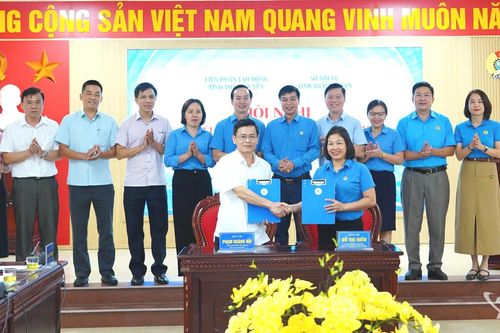 Tăng cường phối hợp chăm lo, bảo vệ quyền lợi người lao động