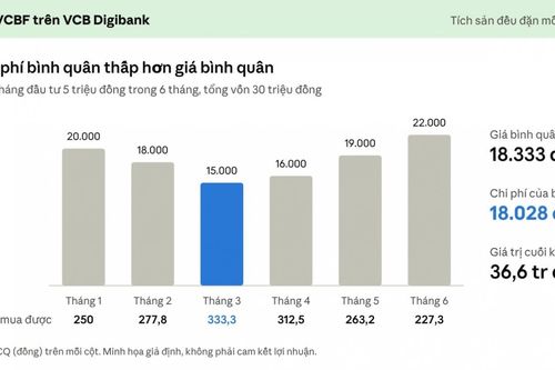 Đầu tư định kỳ: Lời giải cho bài toán "có tiền nhàn rỗi nhưng không có thời gian"