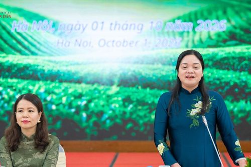 Festival Trà quốc tế - Thái Nguyên năm 2026 với chuỗi các hoạt động quy mô lớn