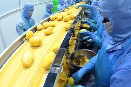 Xuất khẩu nông lâm thủy sản vượt 52,8 tỷ USD