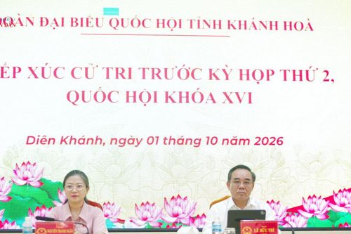 Sớm xử lý tồn đọng, vướng mắc theo nguyện vọng chính đáng của cử tri