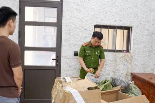 Khởi tố 'lang băm' thổi phồng công dụng thảo mộc, lừa hàng nghìn người dùng