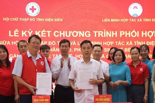 Điện Biên: Gắn hỗ trợ nhân đạo với sinh kế, mở rộng cơ hội tham gia kinh tế tập thể