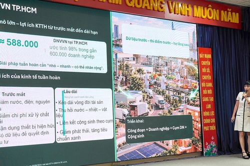 Đề xuất gom dự án nhỏ để mở rộng vốn xanh