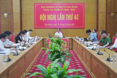 Hội nghị Ban Thường vụ Tỉnh ủy lần thứ 41