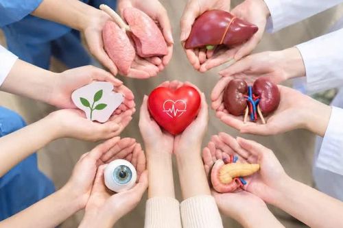 Đăng ký hiến mô, tạng - nghĩa cử cao đẹp cần được lan tỏa trong cộng đồng